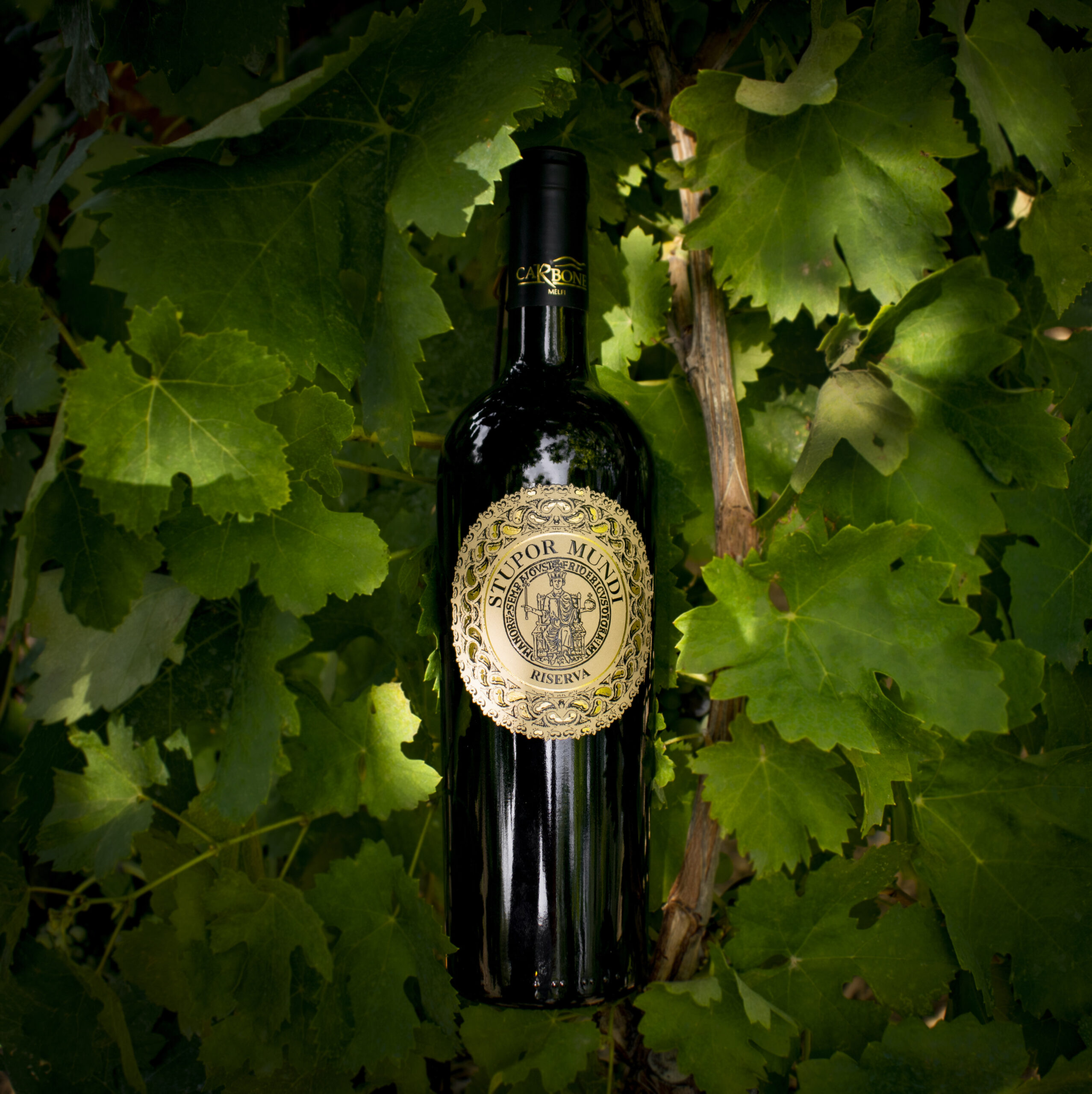 STUPOR MUNDI RISERVA - immagine 4